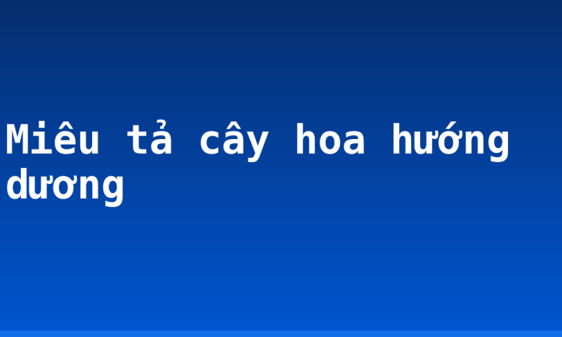 Miêu tả cây hoa hướng dương