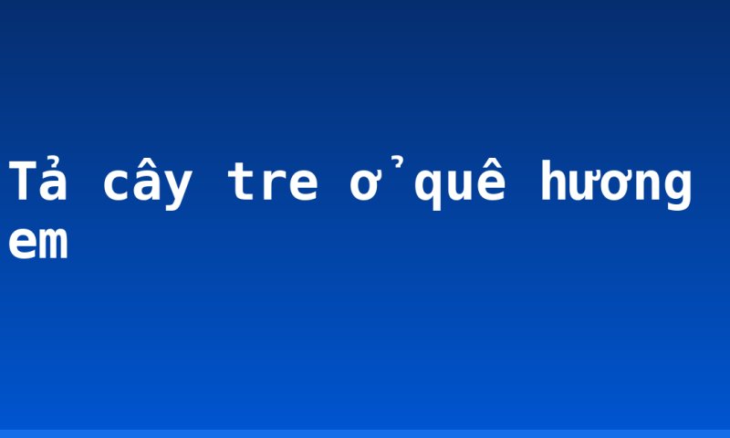 Tả cây tre ở quê hương em