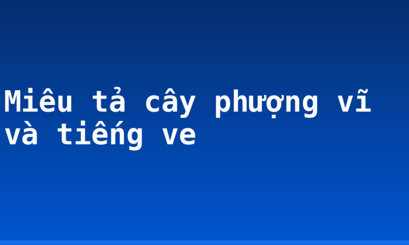 Miêu tả cây phượng vĩ và tiếng ve