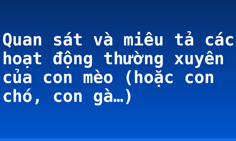 Quan sát và miêu tả các hoạt động thường xuyên của con mèo (hoặc con chó, con gà…)