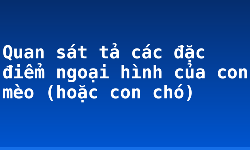 Quan sát tả các đặc điểm ngoại hình của con mèo (hoặc con chó)