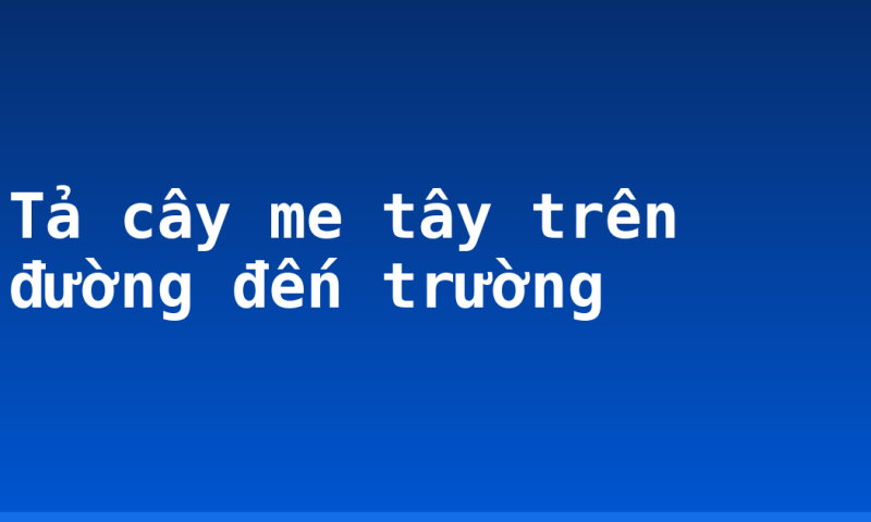 Tả cây me tây trên đường đến trường