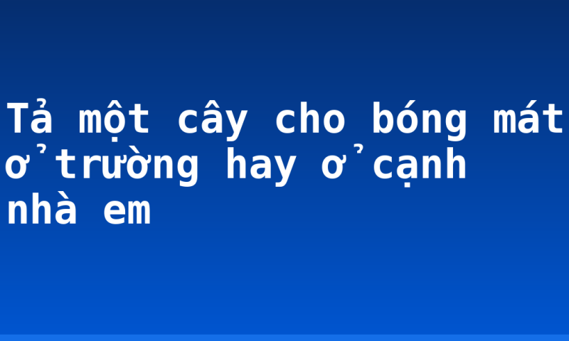 Tả một cây cho bóng mát ở trường hay ở cạnh nhà em