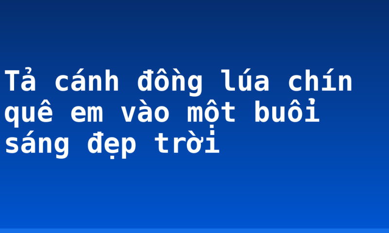 Tả cánh đồng lúa chín quê em vào một buổi sáng đẹp trời