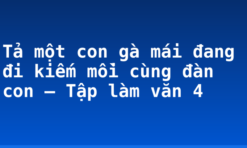 Tả một con gà mái đang đi kiếm mồi cùng đàn con – Tập làm văn 4