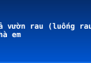 Tả vườn rau (luống rau) nhà em