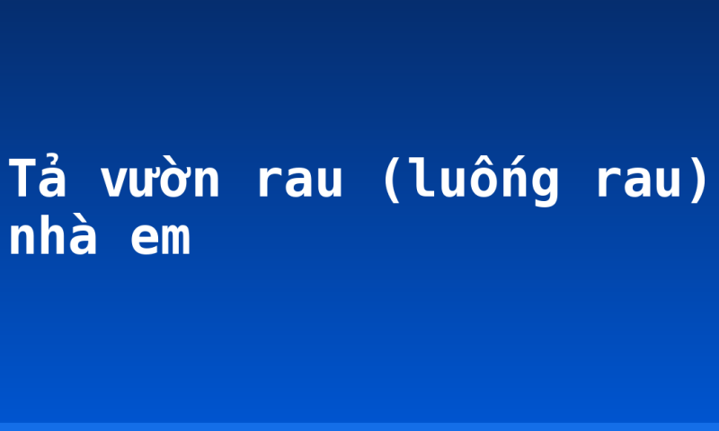 Tả vườn rau (luống rau) nhà em