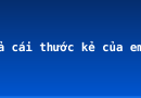 Tả cái thước kẻ của em