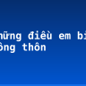 Kể những điều em biết về nông thôn