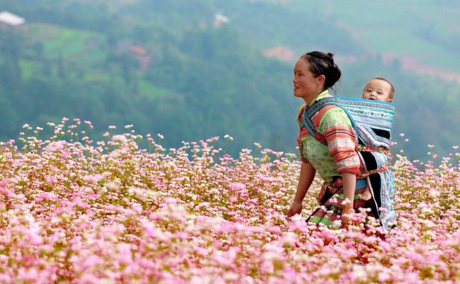 van mau hinh anh cua nguoi me trong khuc hat ru nhung em be lon tren lung me Hình ảnh người mẹ trong bài Khúc hát ru những em bé lớn trên lưng mẹ