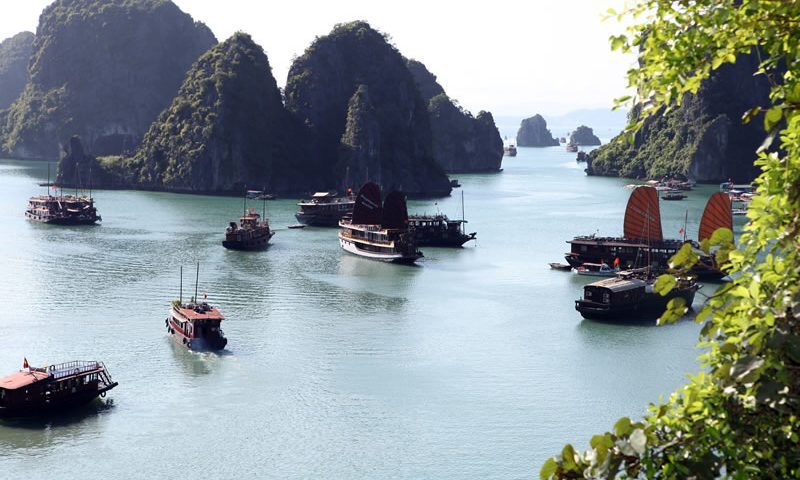Nghị luận xã hội về vấn đề Rừng vàng biển bạc