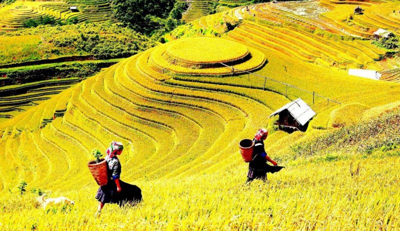 Phân tích bài thơ Nói với con của Y Phương