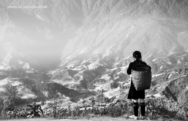 van mau phan tich truyen ngan lang le sapa cua nguyen thanh long Phân tích truyện ngắn Lặng lẽ Sa Pa của Nguyễn Thành Long