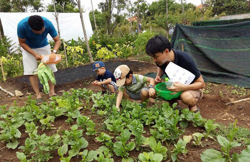 van mau tu bai lao xao hay ta canh khu vuon vao buoi sang Từ bài “Lao xao” hãy tả lại cảnh khu vườn vào buổi sáng